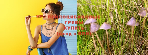 индика Абдулино