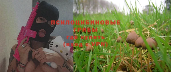 индика Абдулино
