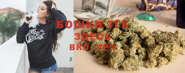 индика Абдулино