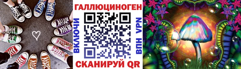 мориарти клад  Яровое  Галлюциногенные грибы мицелий  сколько стоит 