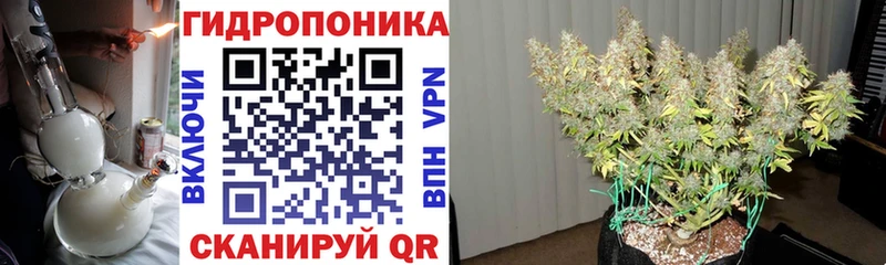 закладки  Яровое  Конопля тримм 